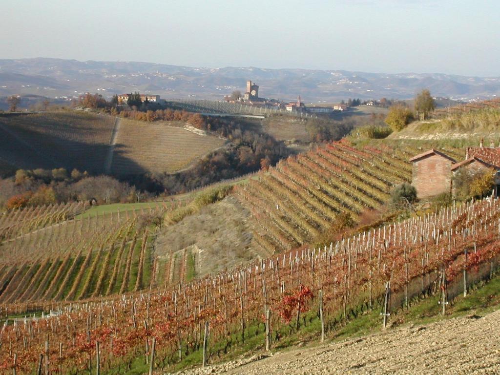 Cascina Il Ginepro ξενώνας Sinio Εξωτερικό φωτογραφία